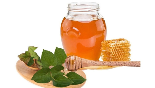 Uống rau diếp cá và mật ong để giảm cân