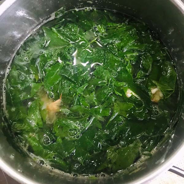 Nấu canh rau xanh ngót nấu nướng tôm