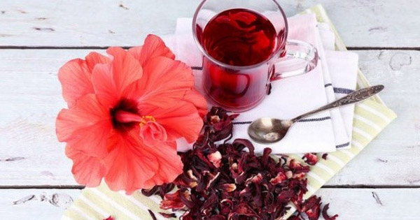 Bà bầu uống trà hoa atiso đỏ được không?