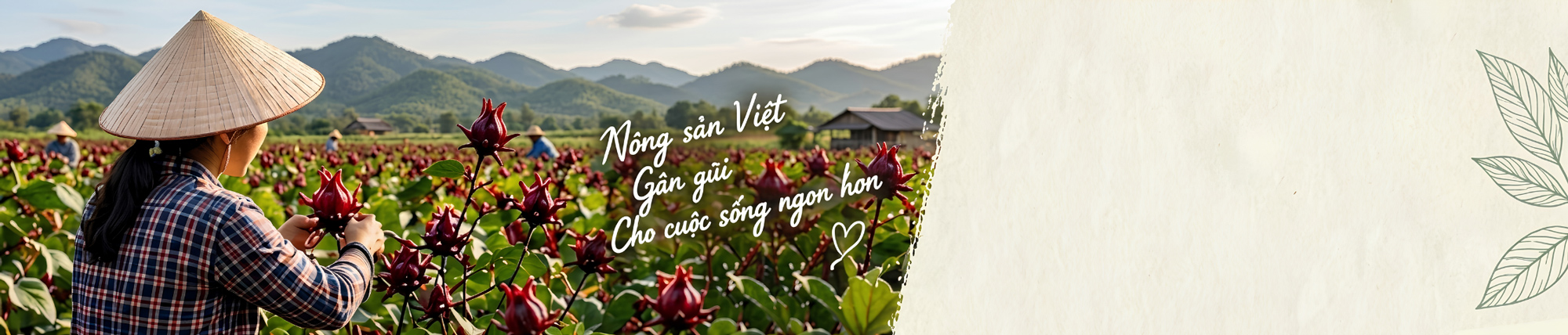 background hanh trinh